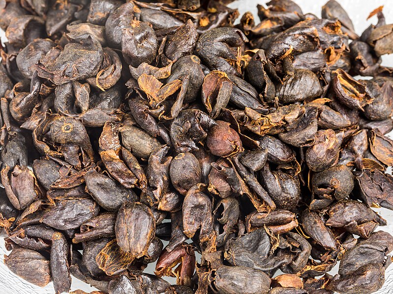 File:Cascara, Coffee cherry tea-6448.jpg