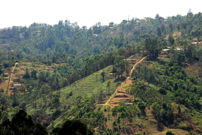 The terrain around Kagumo is very steep and rich in minerals.