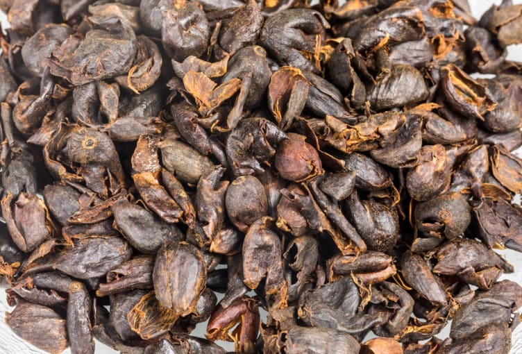 Image of someone making Cascara tea