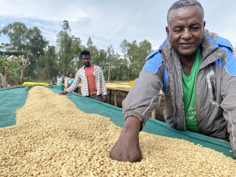 Girma Sintayehu and his son Getu Bekele in the background.