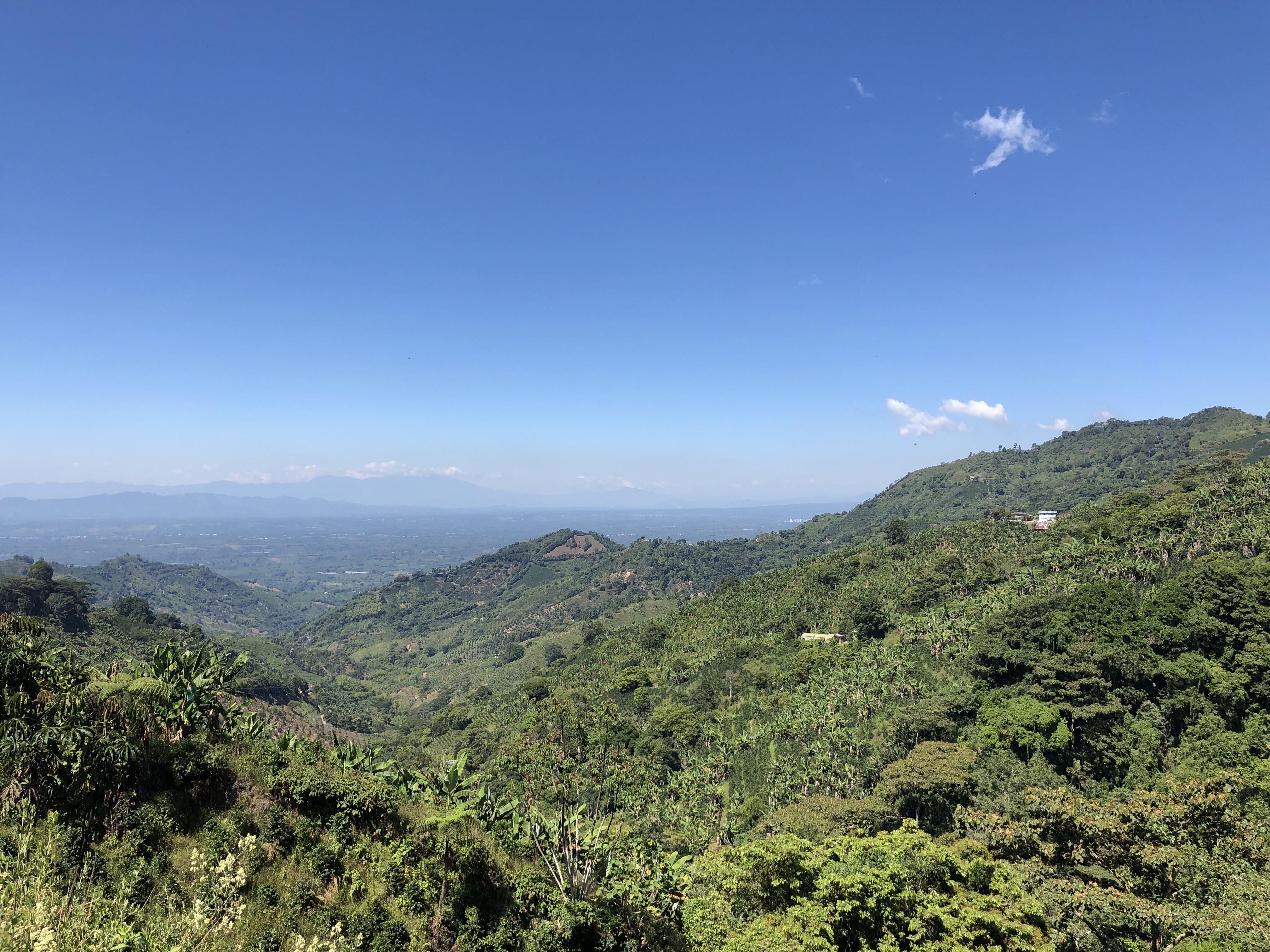 A green mountaineous view.