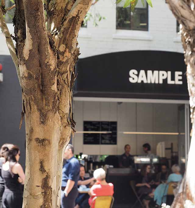 Sample Coffee, Surry Hills