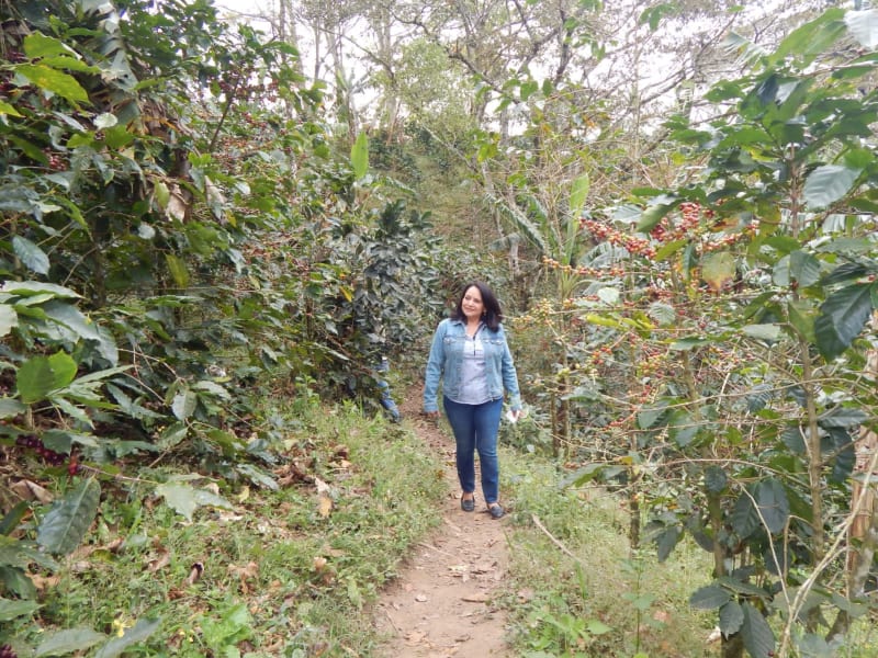 Maria Esther around her farm’s coffee trees.