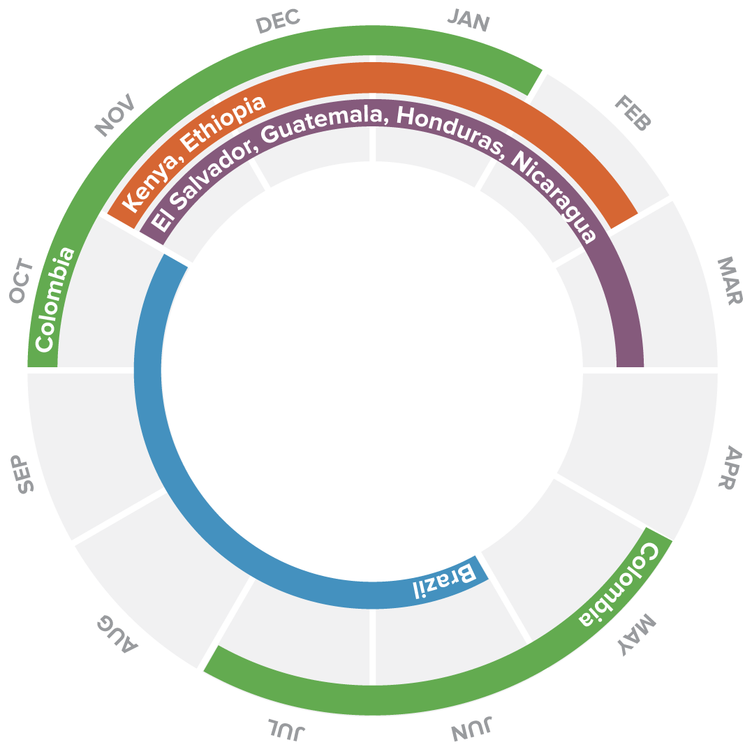 Diagram showing coffee harvest seasons around the world